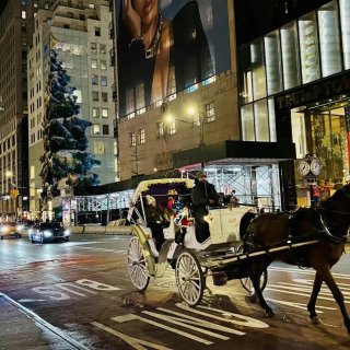 纽约最美圣诞树🎄...