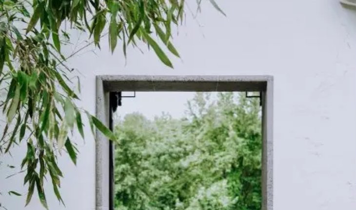 Jan小动物