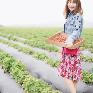 【今天是草莓女孩儿】...