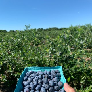 蓝莓味🫐的夏天...