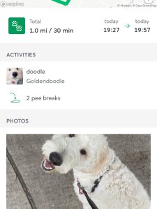 Rover 与你最近 预约快 猫狗服务app 超全测评来啦！