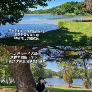 DMV多功能宝藏湖边公园 厚德小厨吃出国...