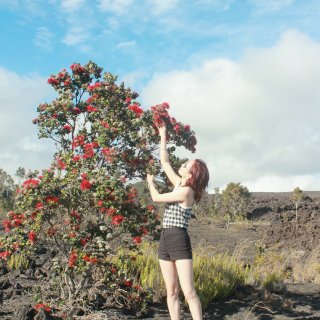 夏威夷大岛历险记第二天-绿沙滩、火山、看...