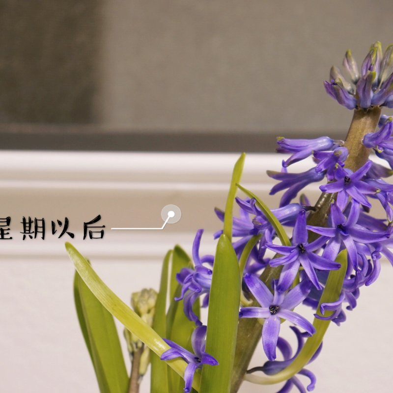 晒货图片