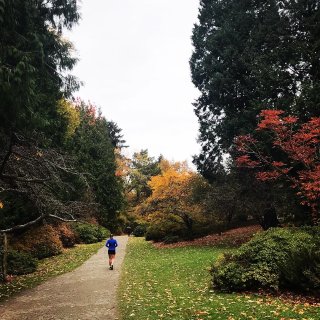在阴雨绵绵的西雅图抓住秋天的尾巴...