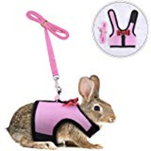 $7.99 Leash for Rabbits 遛兔子绳