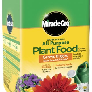 Miracle-Gro® Water Soluble All Purpose Plant Food | Miracle-Gro®
