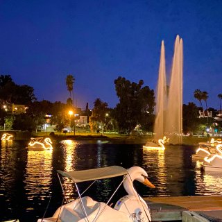 洛杉矶-天鹅船➕LA城市夜景🌃...