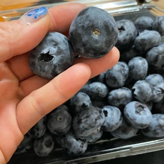 13. Jumbo Blueberry 
