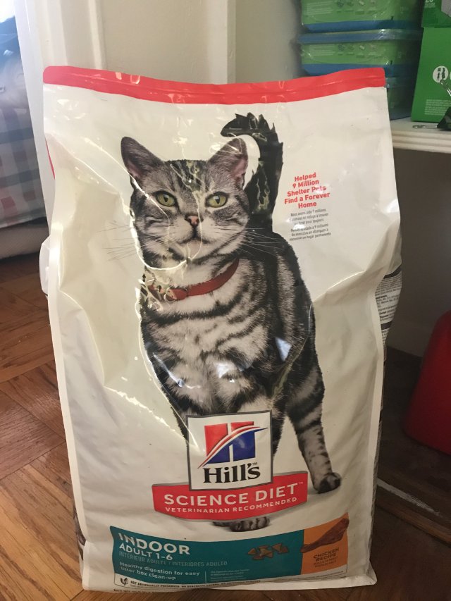 沙雕猫买了新猫粮，继续控制饮食减肥...