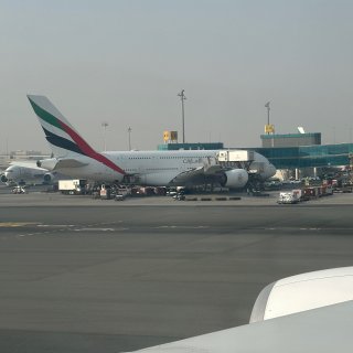 阿联酋A380头等舱是什么体验‼️...