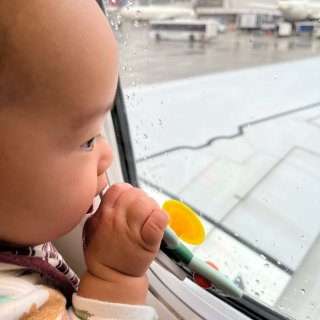 8M小月龄回国搭机经历+准备物品清单✈️...