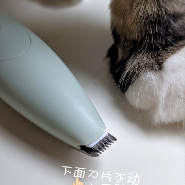 晒货图片