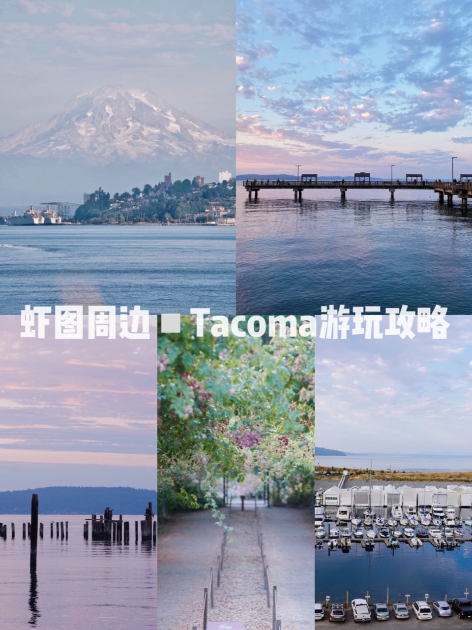 Tacoma超全攻略▪️浪漫翻倍▫️海港...