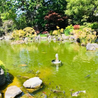 central park的日本小花园藏着...