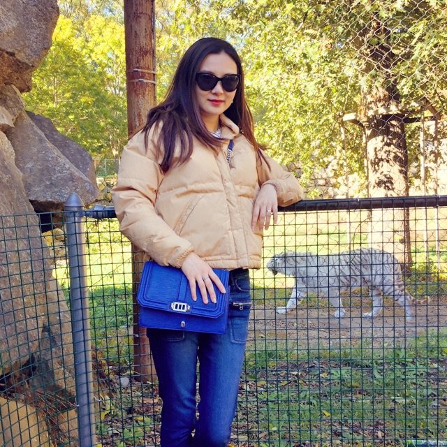 UGG Australia,Rebecca Minkoff 瑞贝卡·明可弗,Hollister 霍利斯特