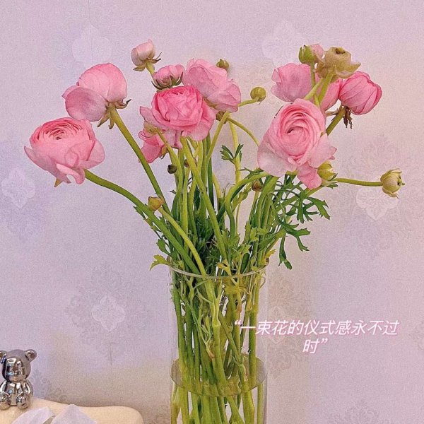 晒货图片