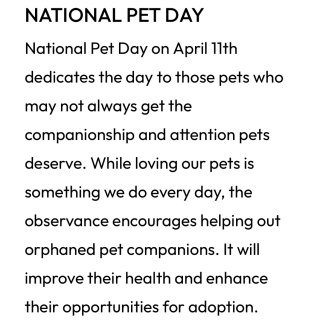 今天是National Pet Day...