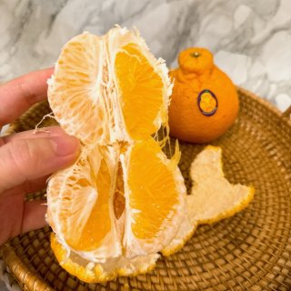 sumo Citrus 美国好吃的丑橘🍊...