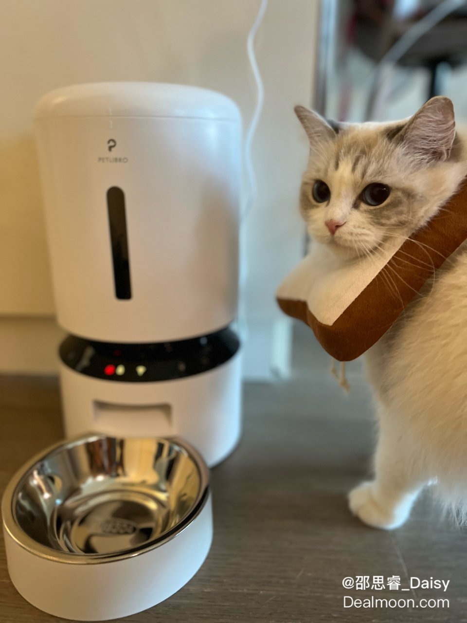 微众测 | 终于有一款喂食器可以监控猫主...