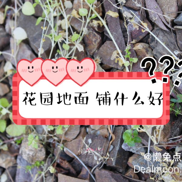 晒货图片