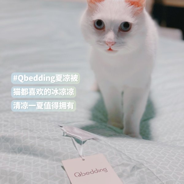 晒货图片