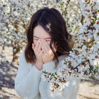 湾区赏花🌸粉色杏花海，初春的限定浪漫...