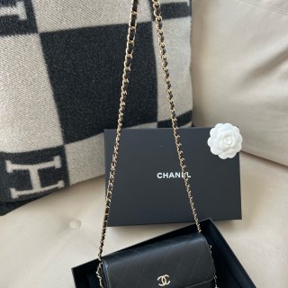 Chanel 2022A最值得买的小包🤍...