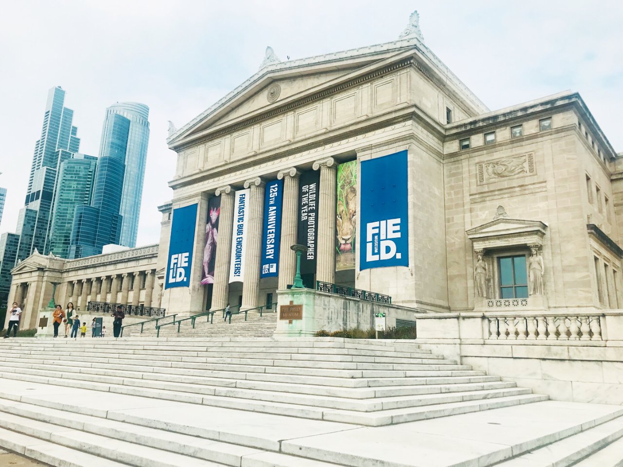 芝加哥 | 菲尔德博物馆🦖🐼📣🎦🗿...