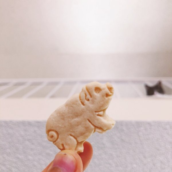 晒货图片
