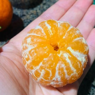 今年吃过最甜的橘子🍊...