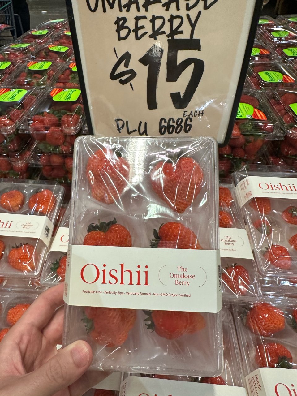 Oishii春节伴手礼...
