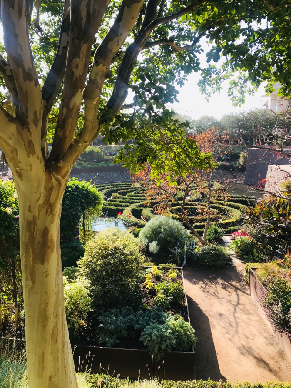 Getty Garden 