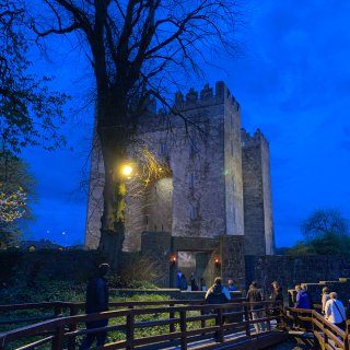 爱尔兰,城堡,中世纪节