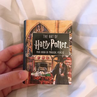 Harry Potter口袋书...