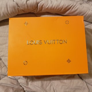 包包,Louis Vuitton 路易·威登,LV
