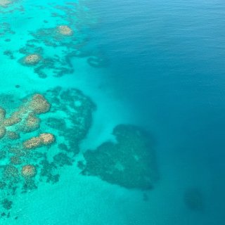 澳洲旅行 | 凯恩斯大堡礁是否值得一去？...