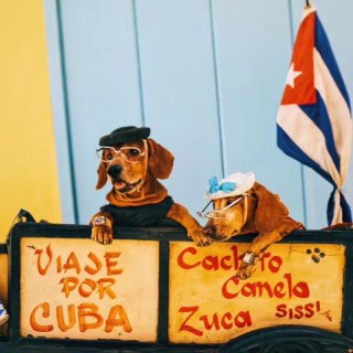 🇨🇺古巴是个可以做梦的地方❤️...