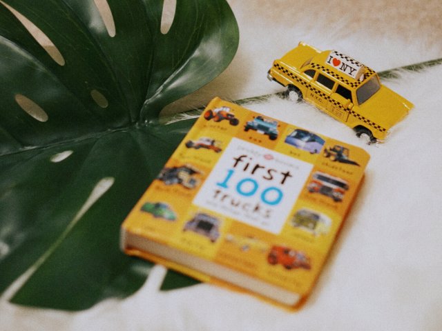 让人又爱又恨的宝宝用书