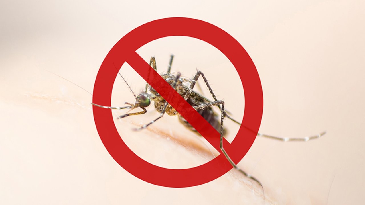 蚊子大作战 | 各种驱蚊灭蚊防蚊产品测评