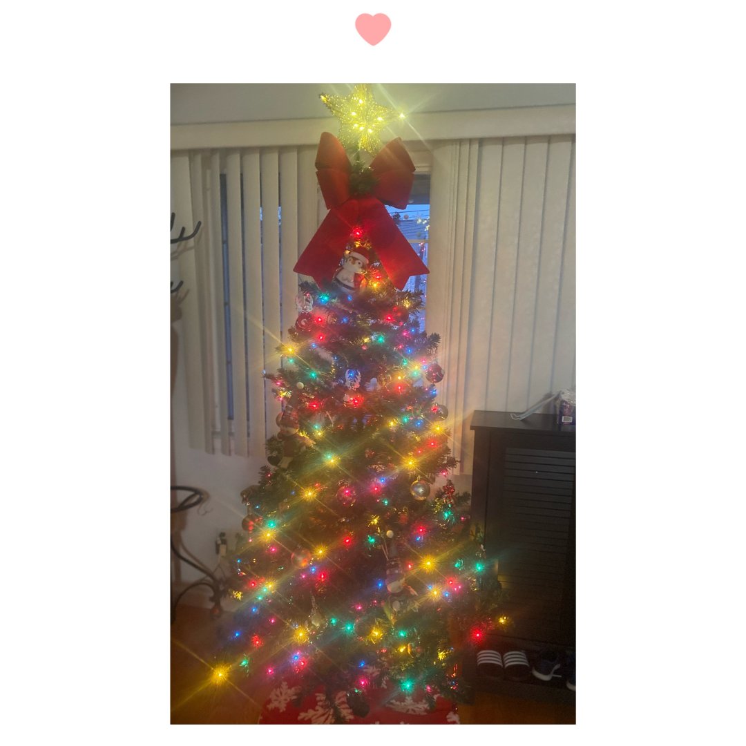 最爱的12月 我的丑萌圣诞树...