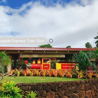 夏威夷｜欧胡岛🍍垄断全美的都乐菠萝种植园...
