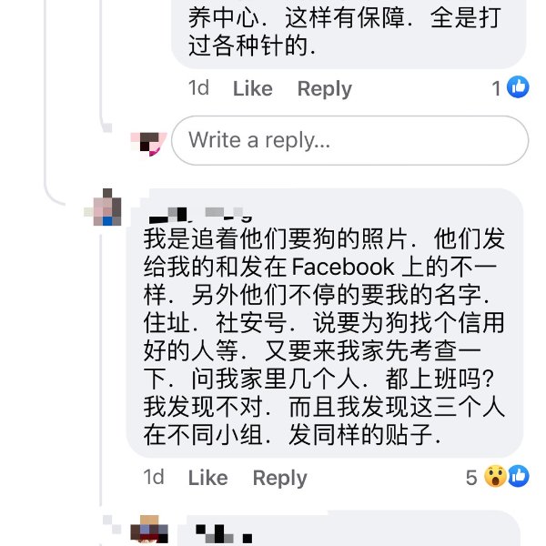 晒货图片