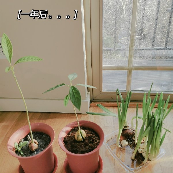 晒货图片
