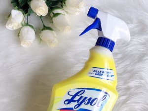 【家用品】 Lysol多用途清洁剂除臭剂