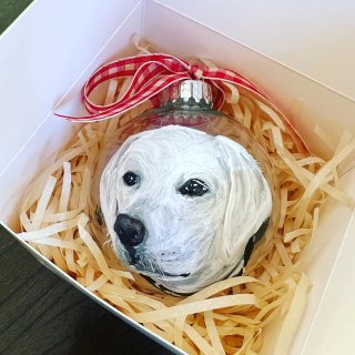 我家狗专属的圣诞球...