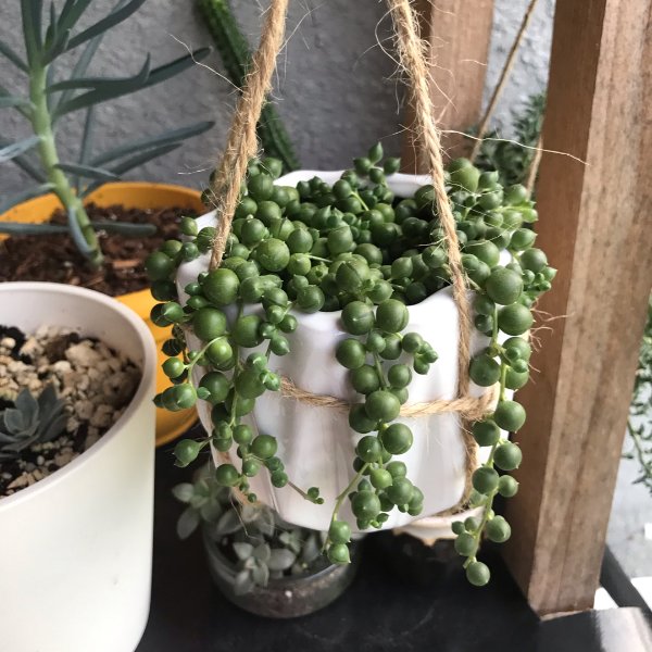 笔记图片
