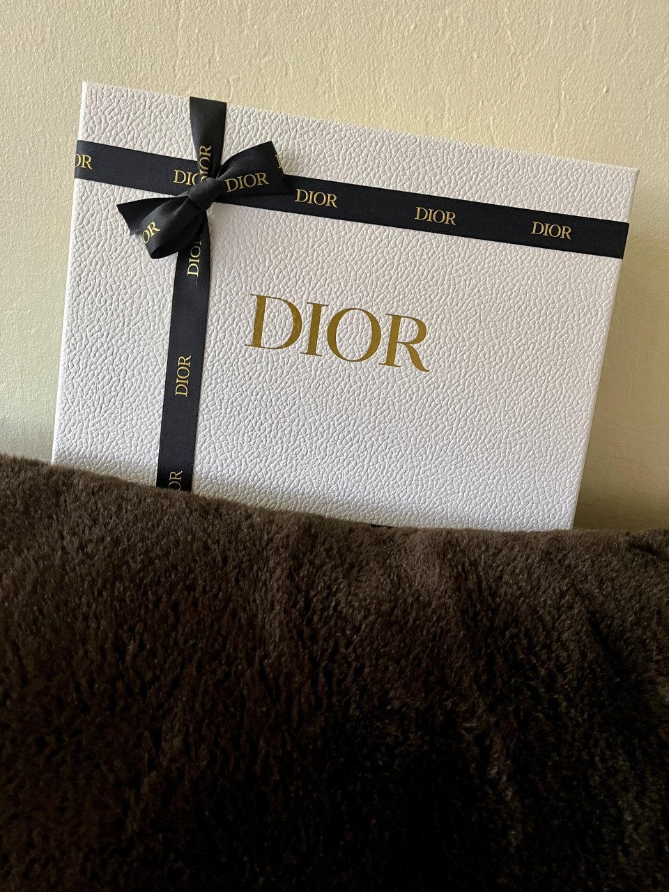 天啊Dior的口红包也太好看了吧...