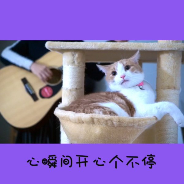 晒货图片