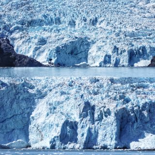 阿拉斯加攻略14｜海上冰川+海上动物世界...
